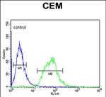 SLC22A6 Antibody in Flow Cytometry (Flow)