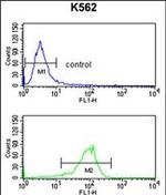 ATP1B2 Antibody in Flow Cytometry (Flow)