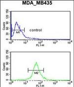 GABRD Antibody in Flow Cytometry (Flow)