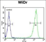 GUSB Antibody in Flow Cytometry (Flow)