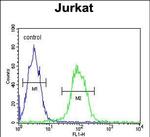 TMEM150A Antibody in Flow Cytometry (Flow)