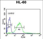 HSL Antibody in Flow Cytometry (Flow)