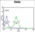 COG2 Antibody in Flow Cytometry (Flow)