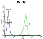 IL-31 Antibody in Flow Cytometry (Flow)