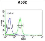 JMJD2B Antibody in Flow Cytometry (Flow)