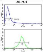 CHIA Antibody in Flow Cytometry (Flow)