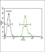 C/EBP alpha Antibody in Flow Cytometry (Flow)