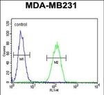 Oxytocin Antibody in Flow Cytometry (Flow)