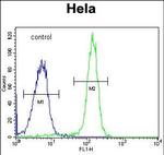 FAM40A Antibody in Flow Cytometry (Flow)