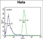 STING Antibody in Flow Cytometry (Flow)