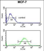 HSD11B2 Antibody in Flow Cytometry (Flow)