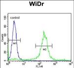 ADAM19 Antibody in Flow Cytometry (Flow)