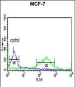 ETS2 Antibody in Flow Cytometry (Flow)