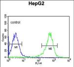 PYCR1 Antibody in Flow Cytometry (Flow)