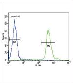 SMAD3 Antibody in Flow Cytometry (Flow)