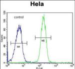 GALNT5 Antibody in Flow Cytometry (Flow)