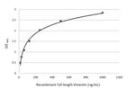 Vimentin Antibody in ELISA (ELISA)