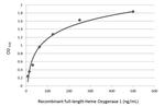 HMOX1 Antibody in ELISA (ELISA)