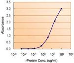 MIF Antibody in ELISA (ELISA)