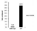 Nuclear Matrix Protein p84 Antibody in ChIP Assay (ChIP)