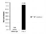 ETS2 Antibody in ChIP Assay (ChIP)