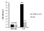 GTF2F1 Antibody in ChIP Assay (ChIP)