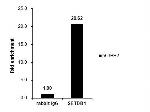 SETDB1 Antibody in ChIP Assay (ChIP)