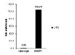 DNMT1 Antibody in ChIP Assay (ChIP)