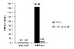 H3K4me2 Antibody in ChIP Assay (ChIP)