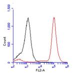 BrdU Antibody in Flow Cytometry (Flow)