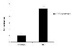 PARP1 Antibody in ChIP Assay (ChIP)