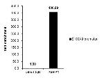 PARP1 Antibody in ChIP Assay (ChIP)