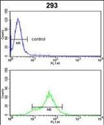 DDAH1 Antibody in Flow Cytometry (Flow)