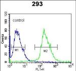 Kallikrein 6 Antibody in Flow Cytometry (Flow)