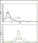 OTC Antibody in Flow Cytometry (Flow)