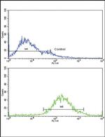 IGFBP2 Antibody in Flow Cytometry (Flow)