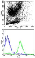 HLA-B Antibody in Flow Cytometry (Flow)