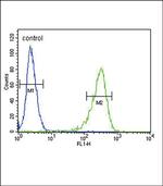 OAT Antibody in Flow Cytometry (Flow)