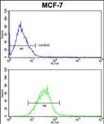 PIN1 Antibody in Flow Cytometry (Flow)