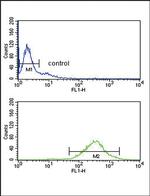 GOT2 Antibody in Flow Cytometry (Flow)