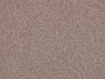 Phospho-INSR (Tyr1361) Antibody in Immunohistochemistry (Paraffin) (IHC (P))