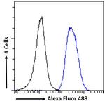 PYROXD1 Antibody in Flow Cytometry (Flow)