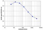 SETD1B Antibody in ELISA (ELISA)