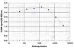 H2BK15ac Antibody in ELISA (ELISA)