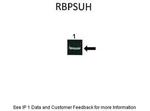 RBPJ Antibody in Immunoprecipitation (IP)