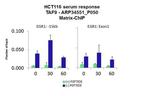 TAF9 Antibody in ChIP Assay (CHIP)