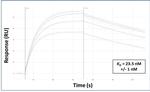 TRIM31 Antibody in Surface plasmon resonance (SPR)