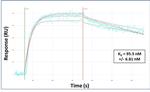 SFTPC Antibody in Surface plasmon resonance (SPR)