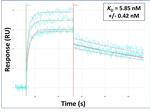 IL13RA2 Antibody in Surface plasmon resonance (SPR)