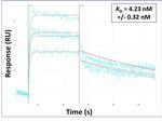 RPS28 Antibody in Surface plasmon resonance (SPR)